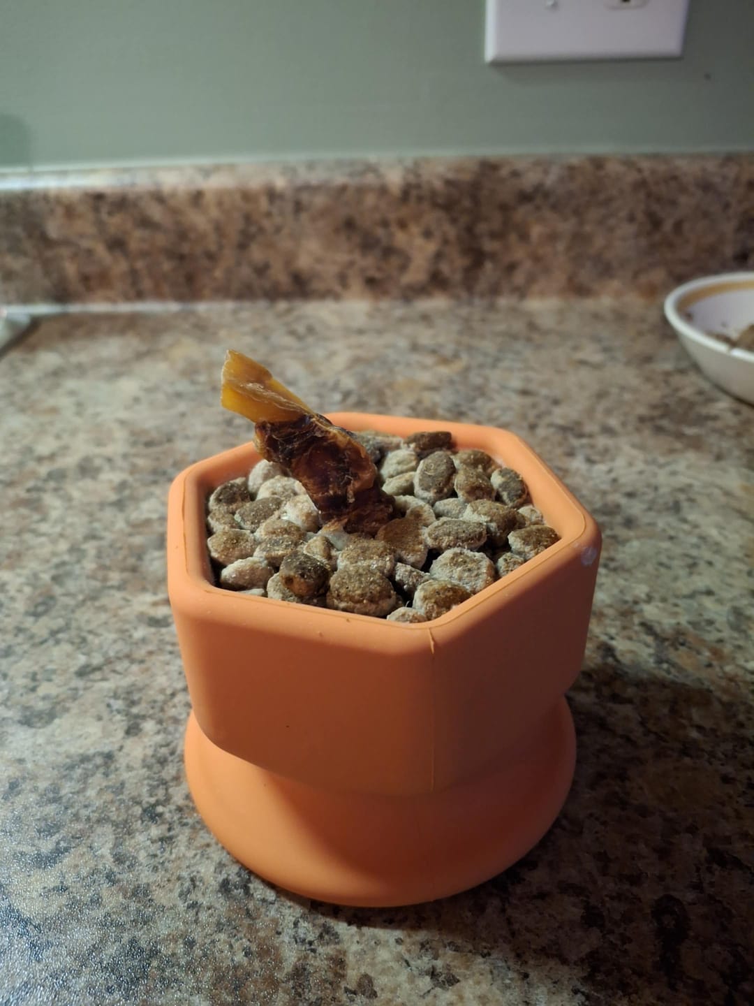 Customer photo review of FreezCup - Long-Lasting Chew Fun