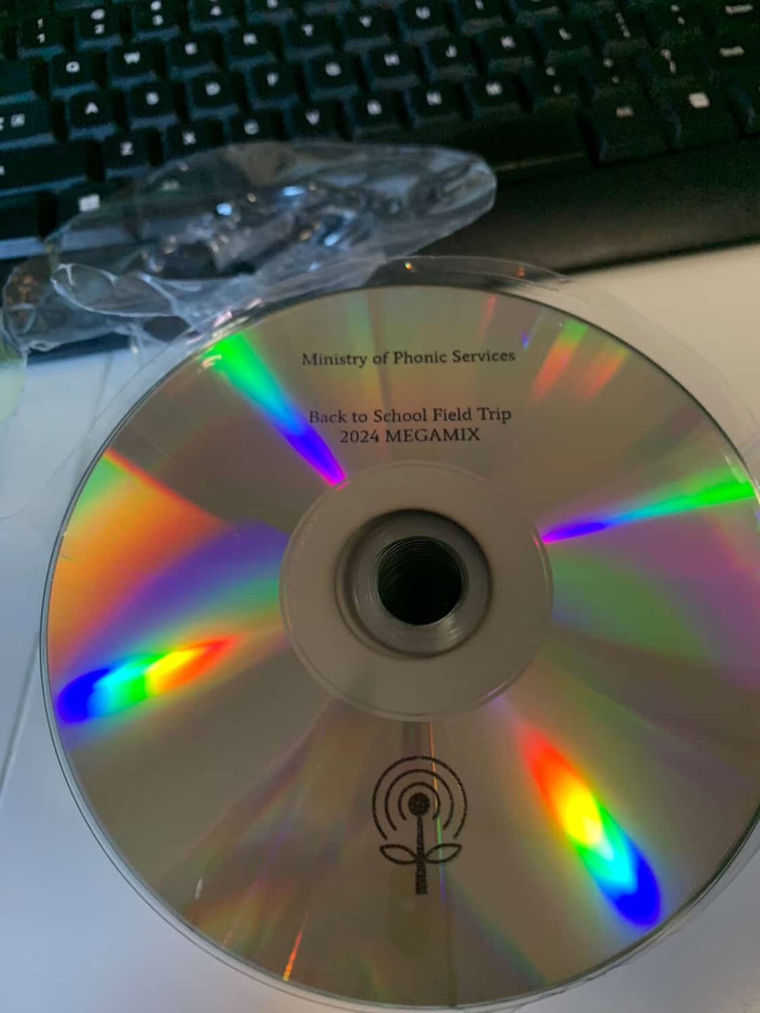 Customer photo review of Bulk CDs