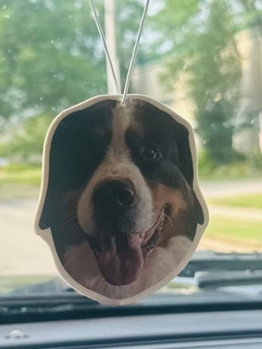 Customer photo review of Custom Air Freshener
