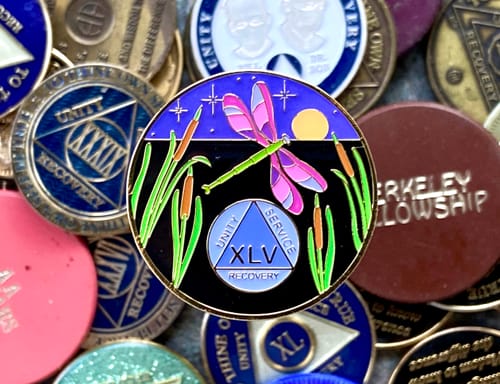 Customer photo review of 1 to 60 Year Dragonfly 9th Step Specialty AA Recovery Medallion - Tri-Plated Chip/Coin