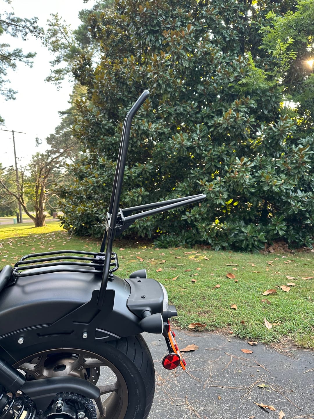 Customer photo review of Iron Born Blade 25" Sissy Bar with Foldable Luggage Rack for Honda Rebel 1100 CMX1100 Matte Black