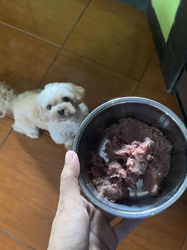Customer photo review of Raw Feeding Dog BARF Mix