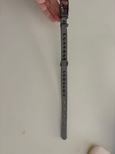 Customer photo review of Hand Made Leather Dog Collar - Ruthless Grey & Black (Slim Fit)