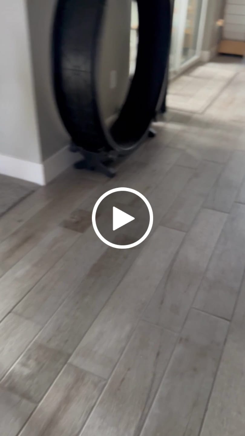 Customer video review of WagWellies® Mojave Neon Orange