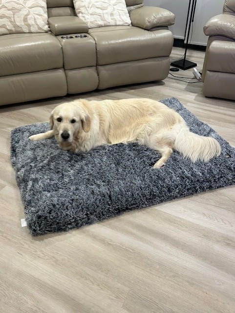 Customer photo review of Pet Calming Blanket