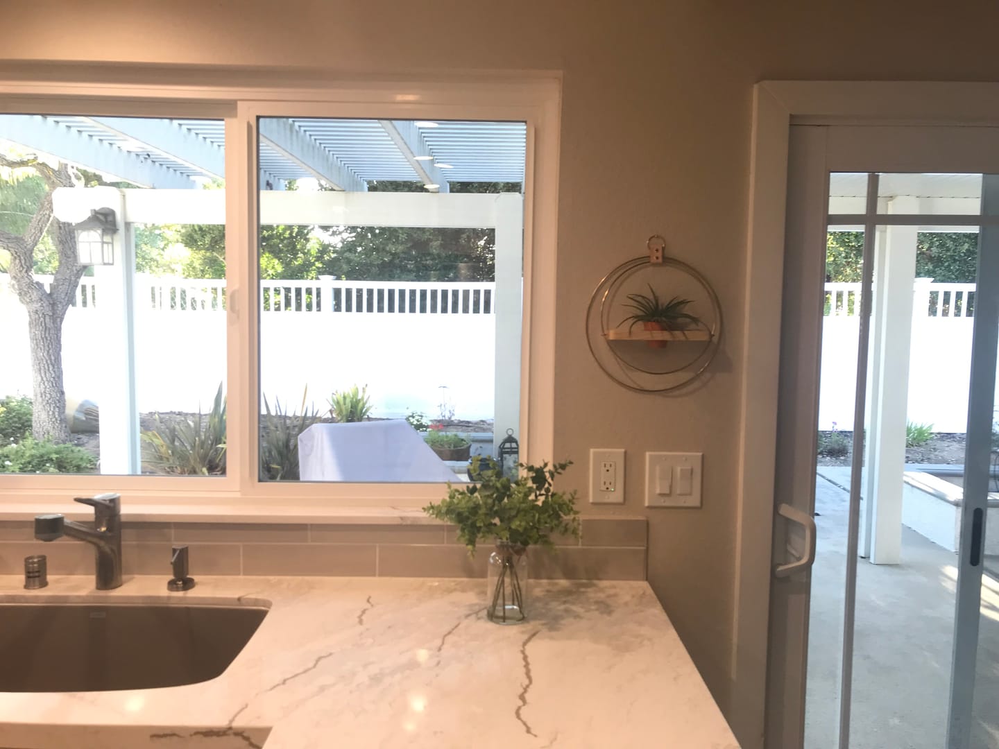 Customer photo review of Air Plant
