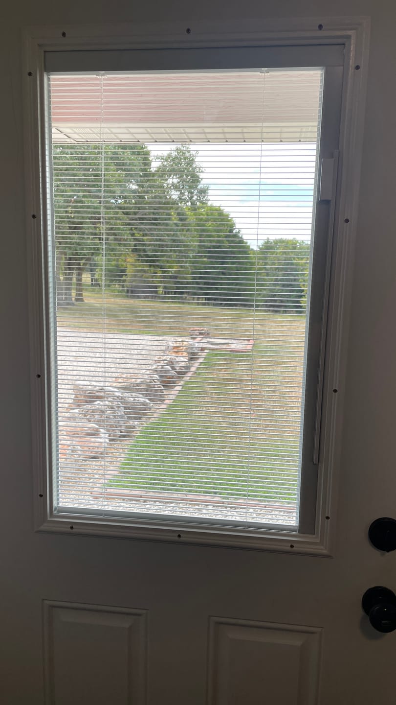 Customer photo review of Raise & Lower Blinds Glass and Frame Kit (Half Lite)