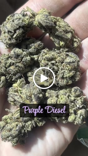 Customer video review of Purple Diesel - Bulk - Hybrid