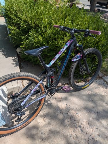 Customer photo review of Maxwell Green Artist Series Frame Keeper