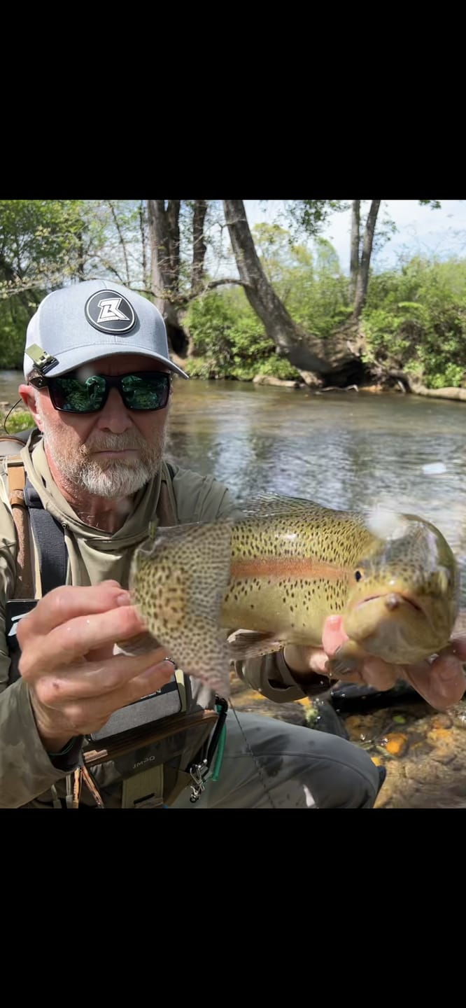 Customer photo review of Lid Rig 3.0