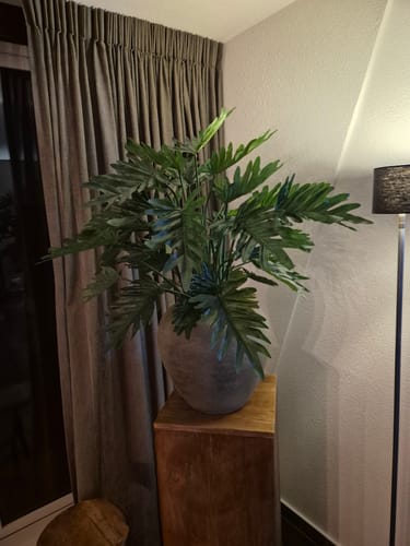 Customer photo review of Philodendron Kunstplant 75cm