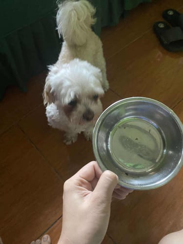 Customer photo review of Raw Feeding Dog BARF Mix