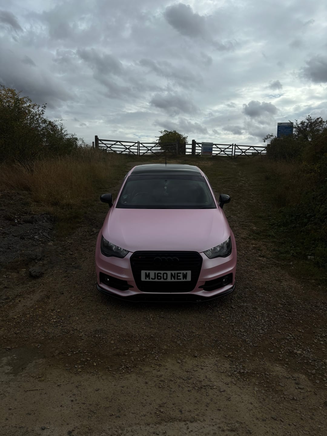 Customer photo review of Matte Metallic Pearl Baby Pink Vinyl Wrap