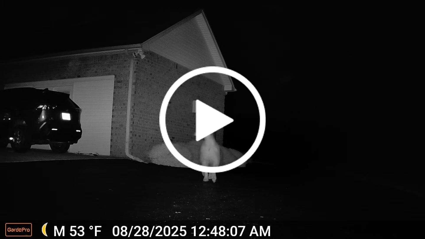 Customer video review of GardePro X66 Pro Cellular Trail Camera