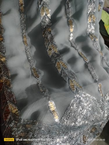 Customer photo review of Stylish Grey Striped Georgette Saree Featuring All-Over Sequin Embroidery