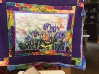 Customer photo review of Husqvarna Viking Onyx 25 Mechanical Sewing Machine