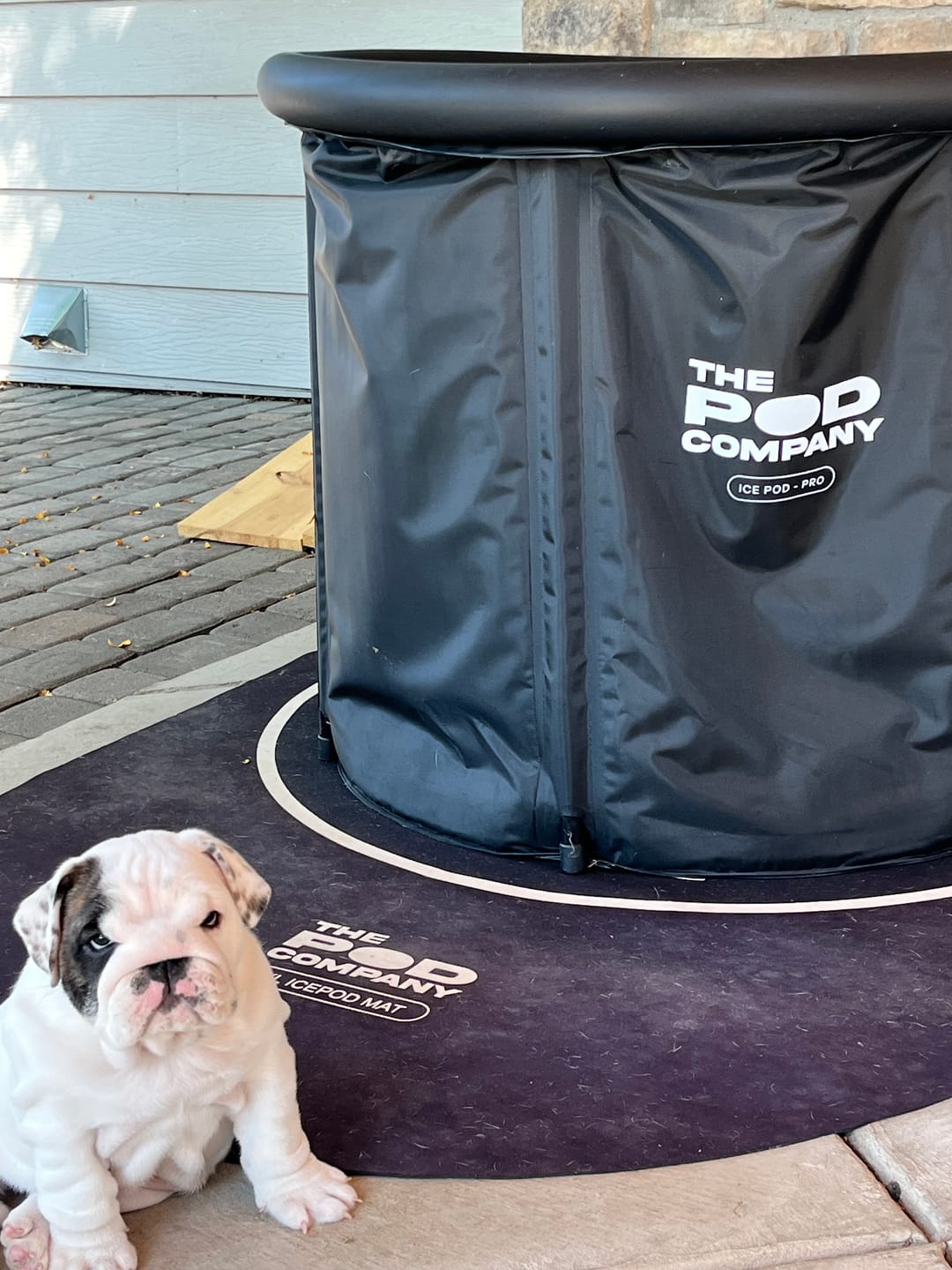 Customer photo review of Water Maintenance Pack