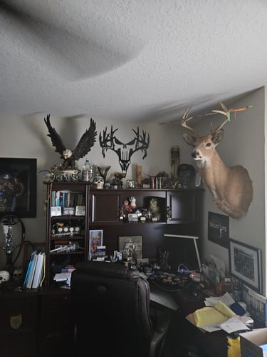 Customer photo review of Deer Punisher - Metal Wall Art