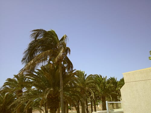 Customer photo review of NUVINT - Digitalkamera