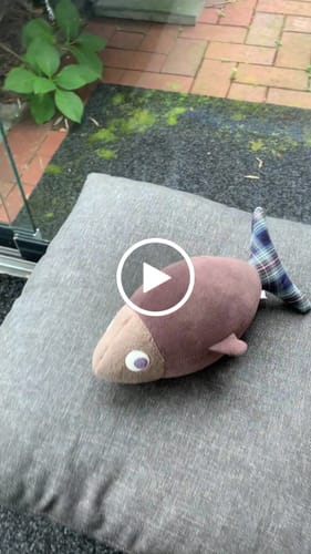 Customer video review of CHARLES, LE POISSON