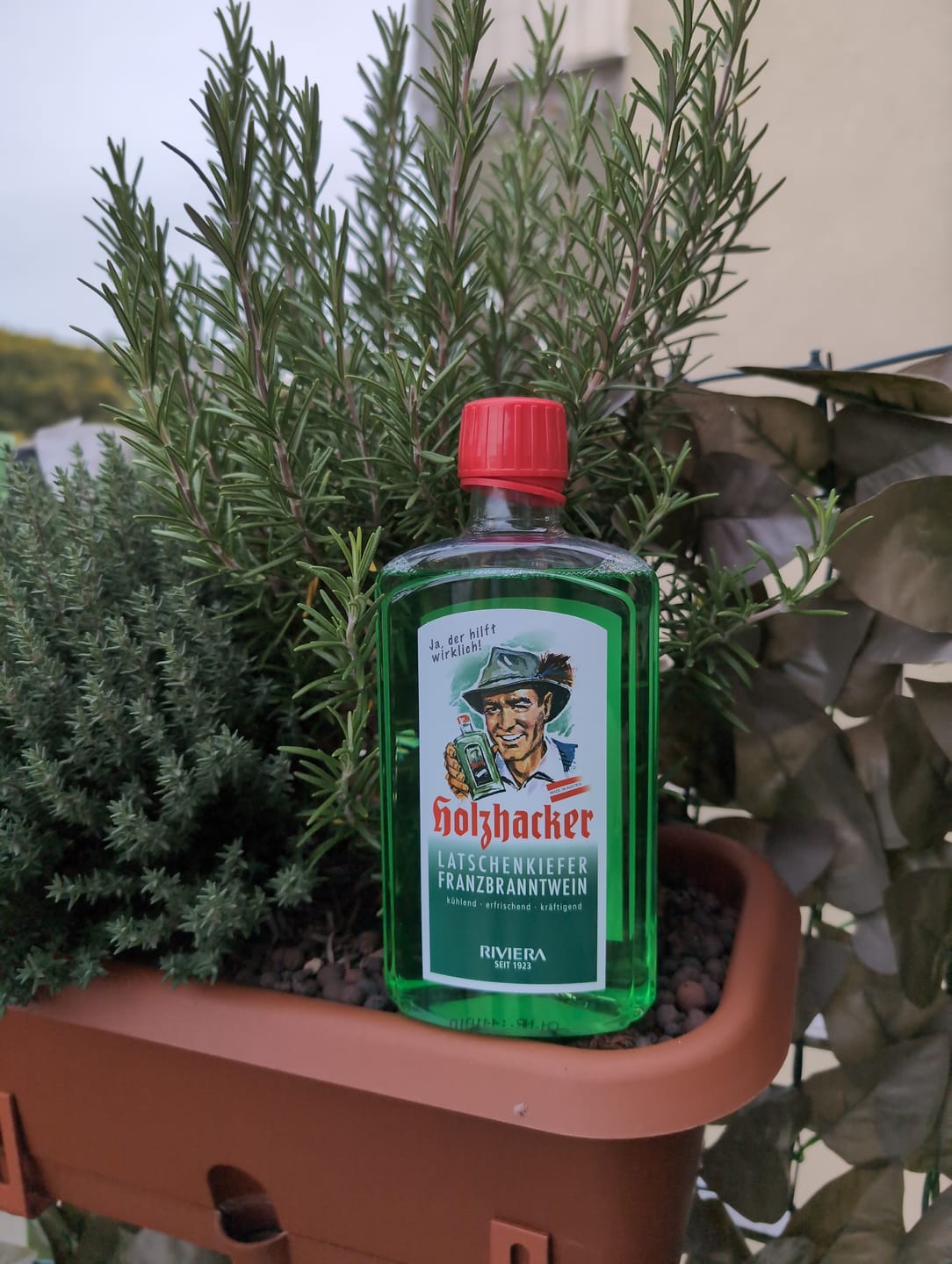 Customer photo review of Holzhacker Latschenkiefer Franzbranntwein