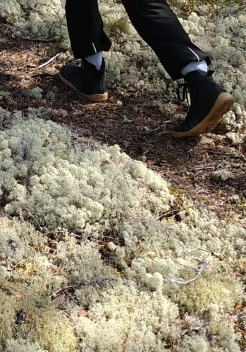 Customer photo review of Vaistoa Tuohi -paljasjalkaretkeilykengät