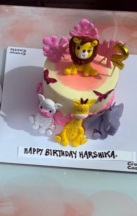 Customer photo review of Jungle theme pink Cake