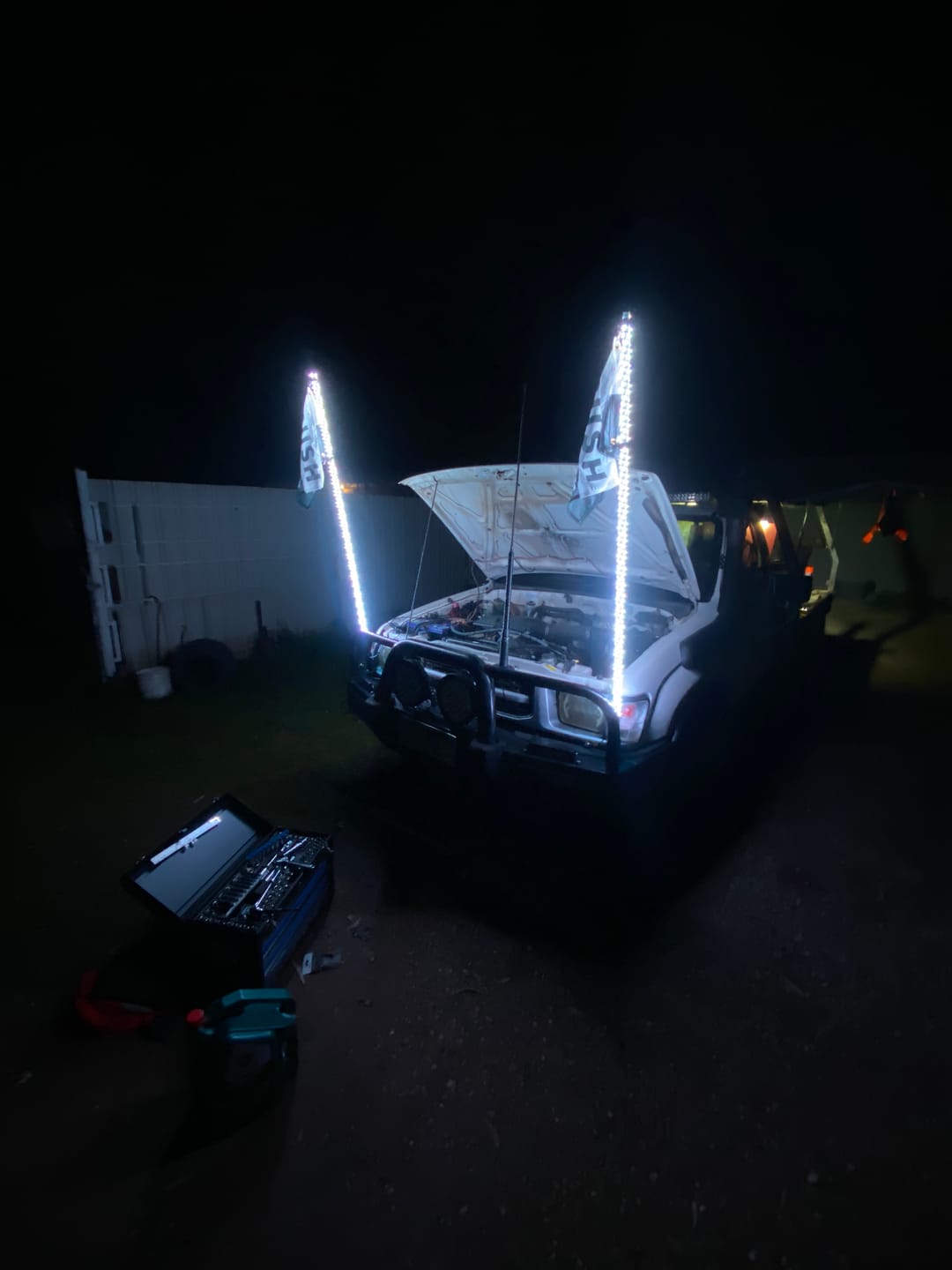 Customer photo review of 5ft LED Whip Lights