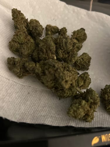 Customer photo review of Blue Mamba - Light Dep THCA (Full Size)