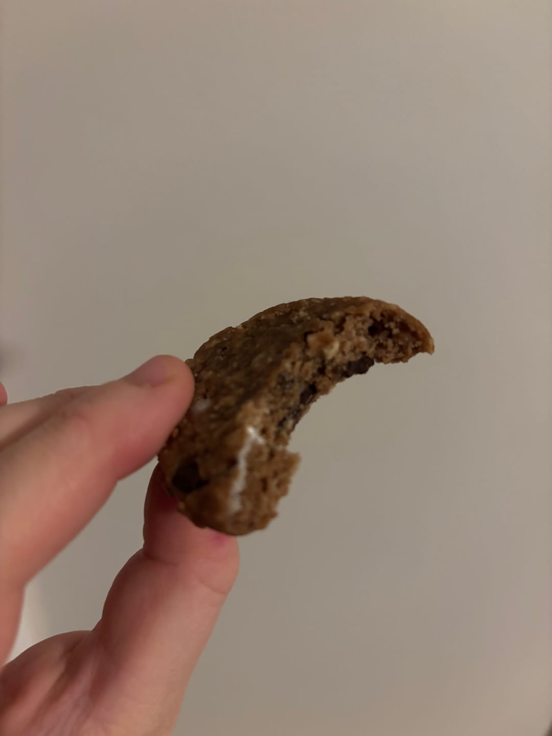 Customer photo review of Chocolate Chip Mama Biscuits