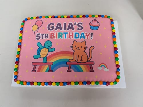 Customer photo review of A3 Rectangle Custom Edible Icing Image