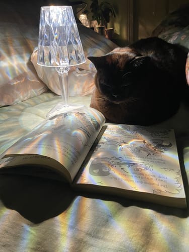 Customer photo review of Sparkling Touch Lamp Shade