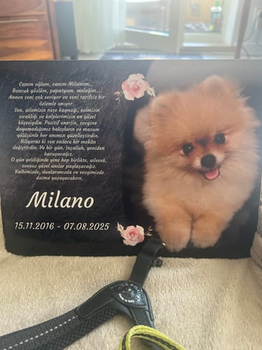 Customer photo review of Hunde Gedenktafel mit Foto & Spruch (UV- & Wetterfest)