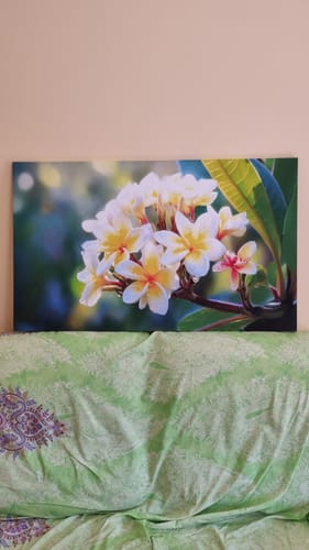Recensione con foto di un cliente su Quadro personalizzato Pomelie 100x60cm