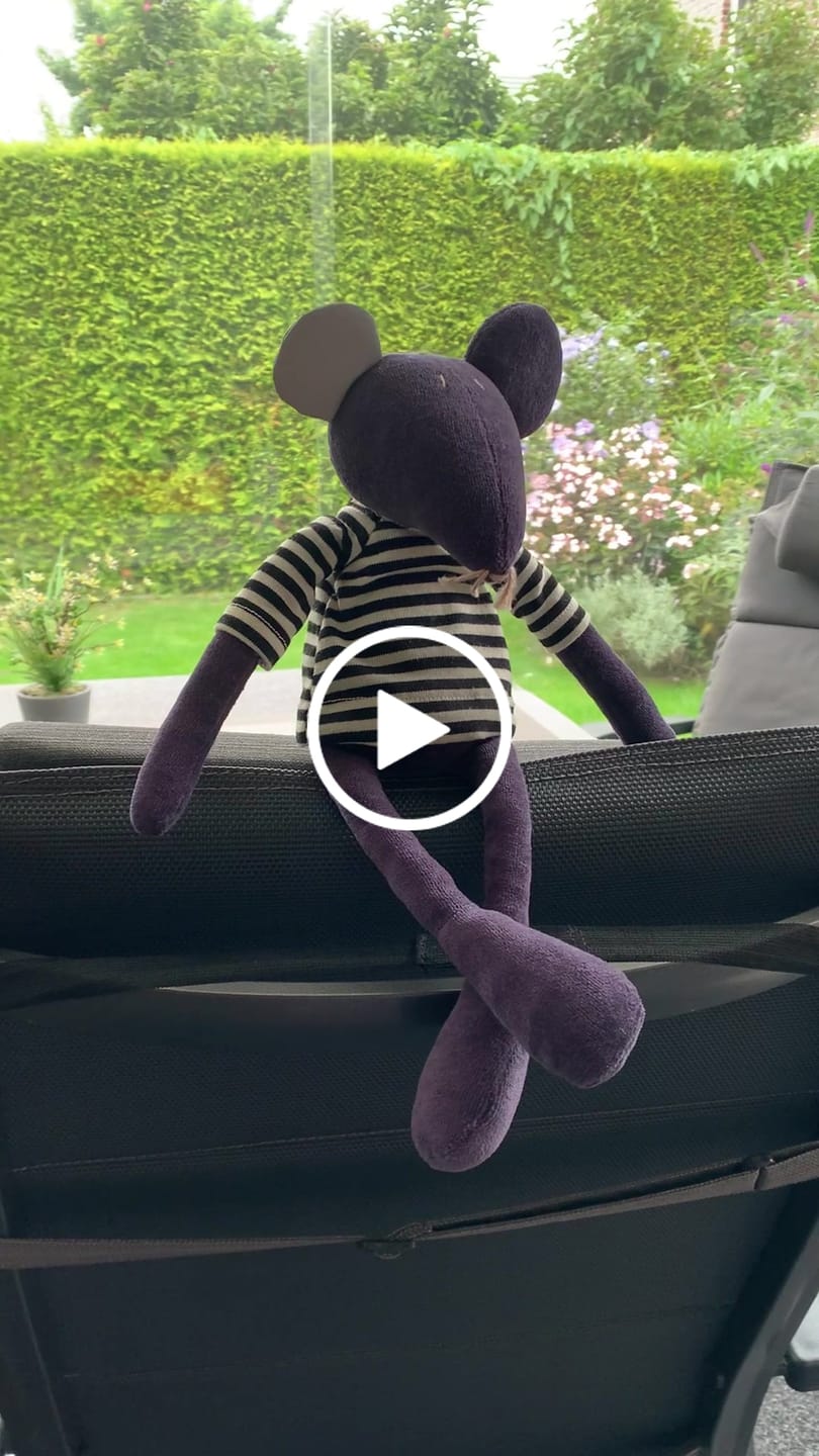 Customer video review of HECTOR LE RAT - M