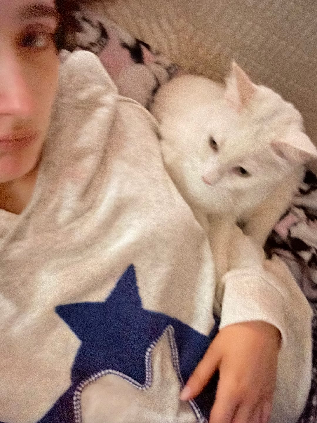 Customer photo review of Aelfric Eden Stellaris Embroidered Hoodie