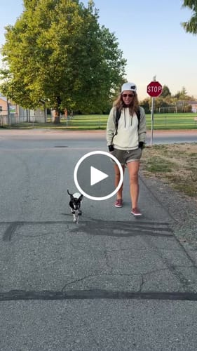 Customer video review of Olive Cream Human Hoodie