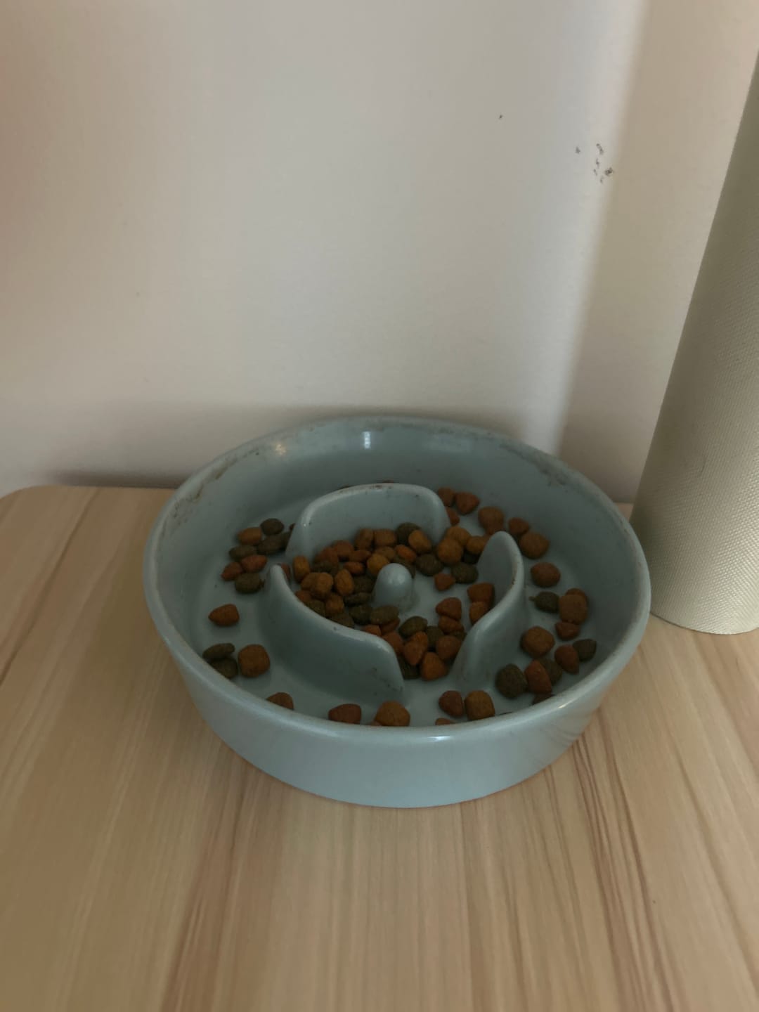 Customer photo review of Ceramic Slow Feeder Pet Bowl for Dogs and Cats