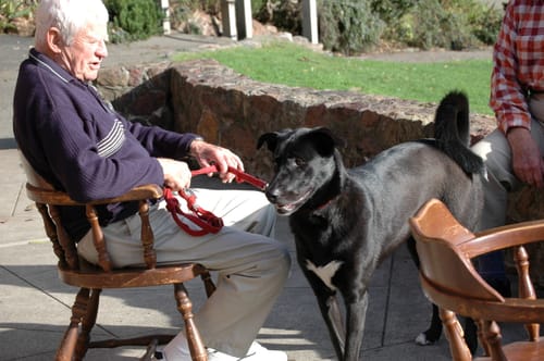 Customer photo review of Fisherman's Life® Vertical Jigs 100g, 150g, 200g, 300g FOUR COLORS available