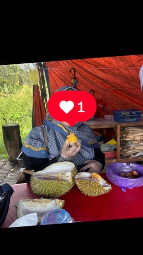 Customer photo review of Bertamu Square (Powder Blue)