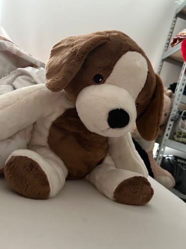 Customer photo review of Lotgenootje Hond 2kg