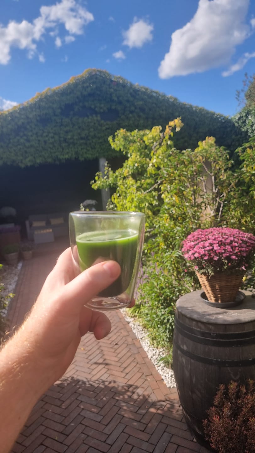Customer photo review of Matcha
