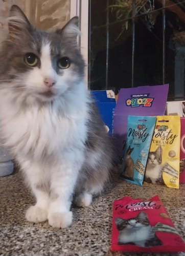 Customer photo review of Snack Funcional Cremoso Para Gatos - (5 Snacks De 15g Por Sobre)