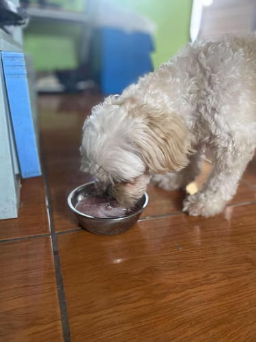 Customer photo review of Raw Feeding Dog BARF Mix