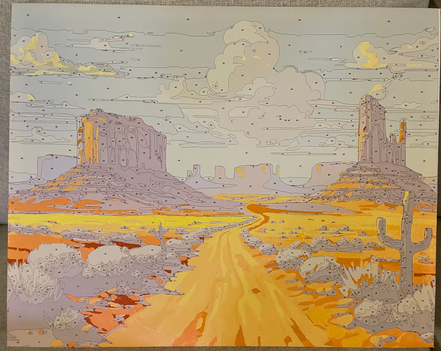 Customer photo review of Canyonland Path