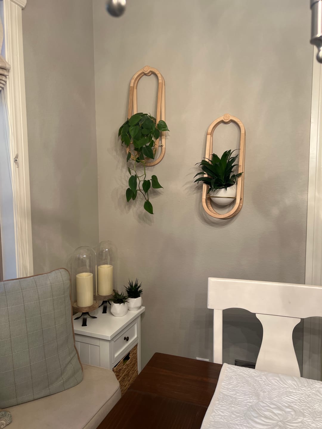 Customer photo review of Frame Wall Planter + Pot Duo