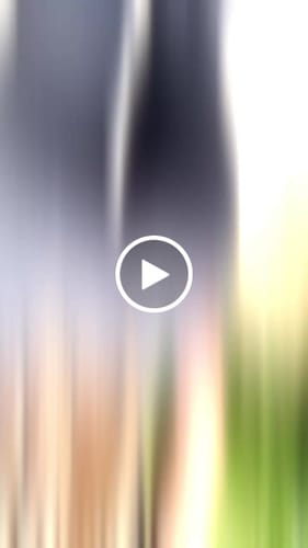 Customer video review of (PRE-ORDER) LUXE Sculpt Flared Leggings - Deep Black