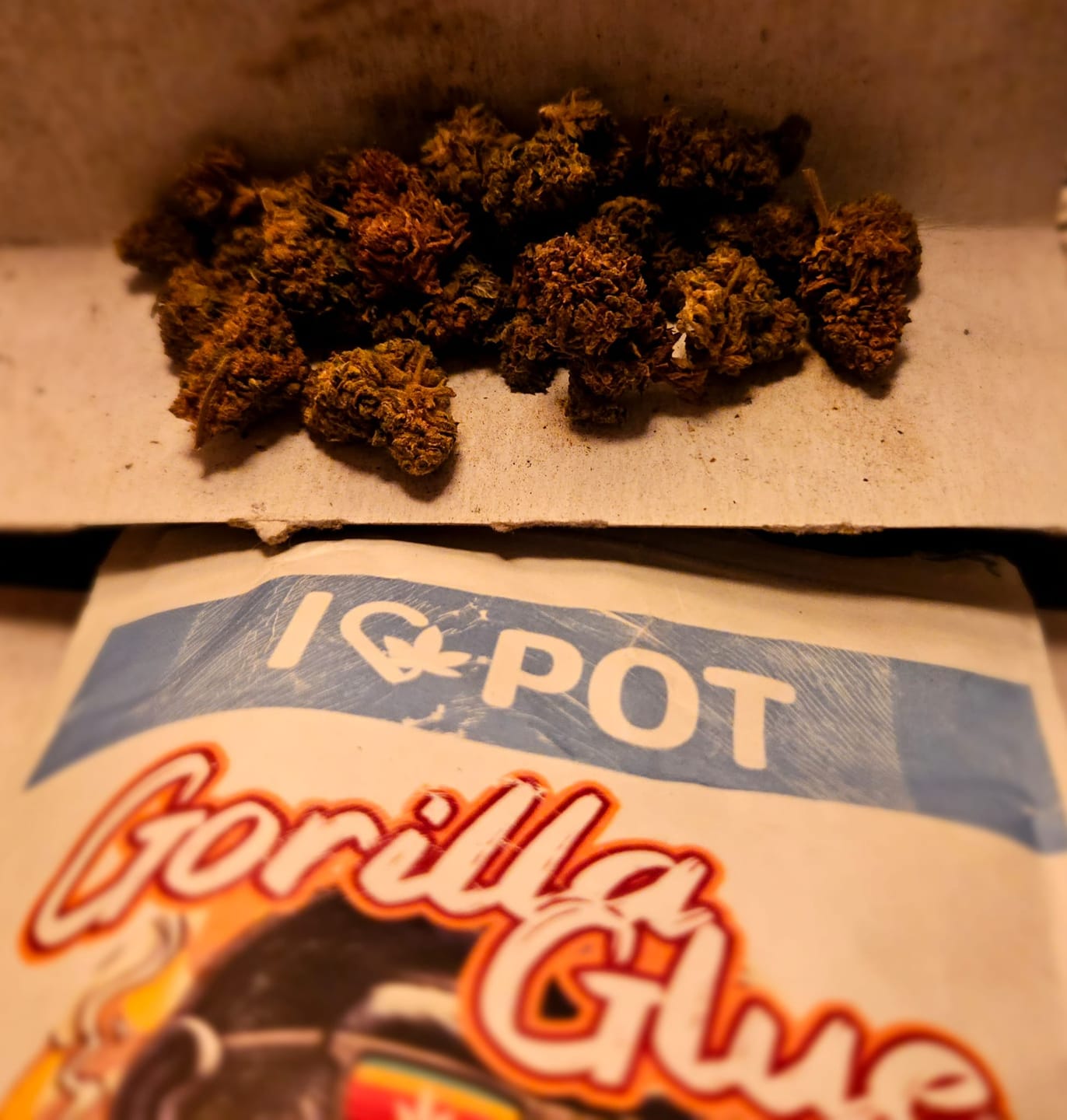 Customer photo review of HHZ Blüte - Gorilla Glue