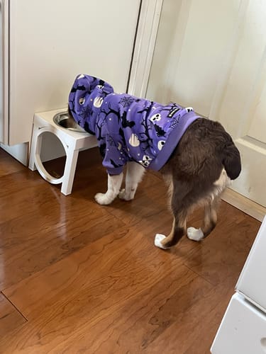 Customer photo review of Halloween Dog Hoodies (Limited Edition)