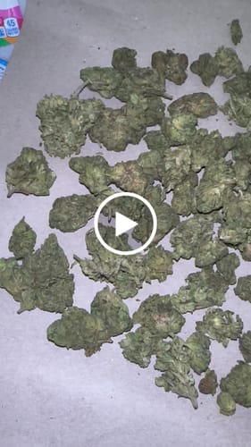 Customer video review of Cheap THCA Flower Ounce